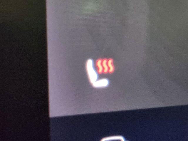 2019 Tesla Model 3 Performance